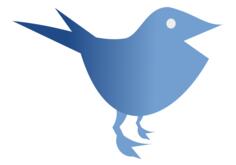 bird