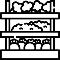 Vegetables