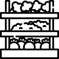 Vegetables