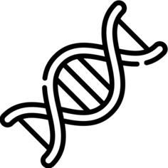 脱氧核糖核酸