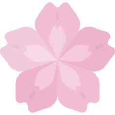 Cherry blossom