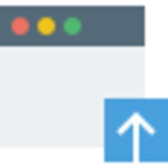 Browser