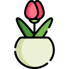 Tulip