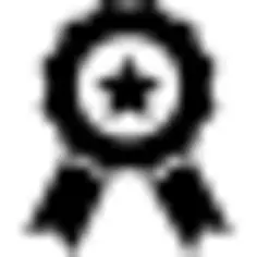 与星和丝带的奖徽章