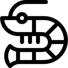 虾