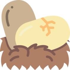 Eggs