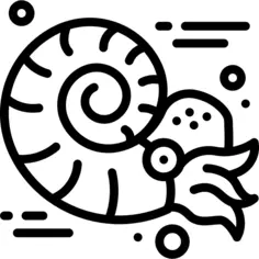 Nautilus