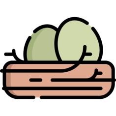 巢