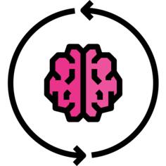 Brain
