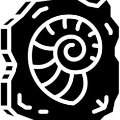 Fossil