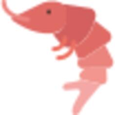 Shrimp