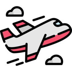 Flight