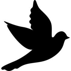 Dove