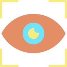 Eye scan