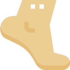 踝