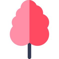 Cotton candy