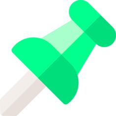 Pin