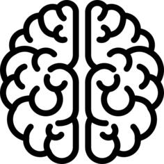 Brain