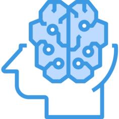 Brain