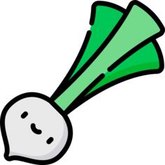 Onion