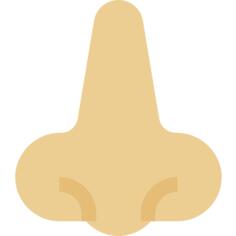 Nose