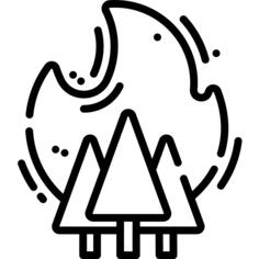 火