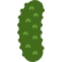 黄瓜