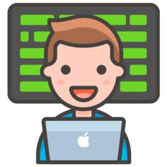 Programmer