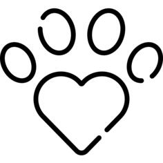 Pet