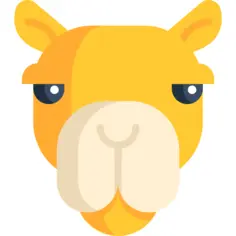 Camel