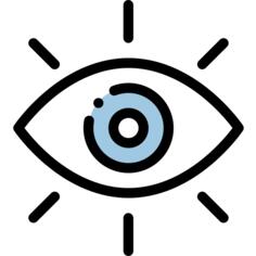 Shared vision