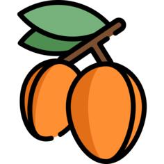 Argan