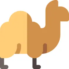 骆驼