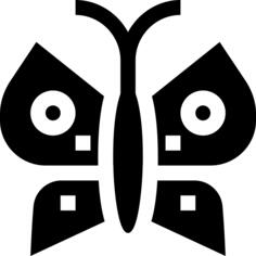 蝴蝶