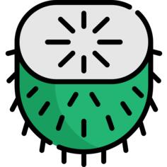 Guanabana