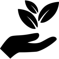 Hand holding leaves