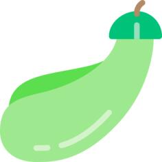 Eggplant