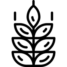 麸质