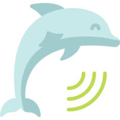 海豚