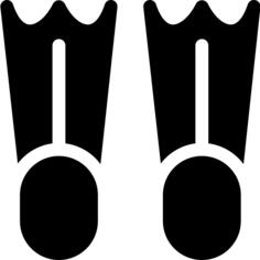 Flippers