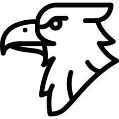 鹰
