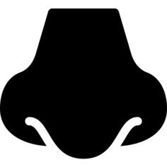Nose