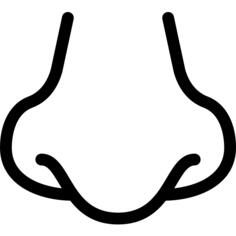 Nose