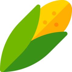Corn