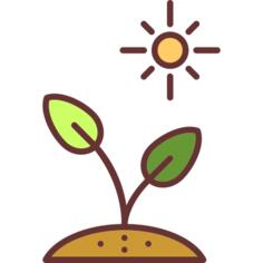 Sprout
