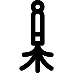 马桶刷