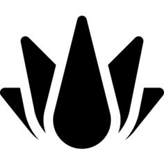 Agave