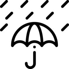 雨