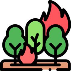 燃烧