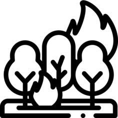 燃烧